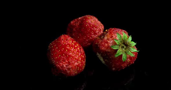 Strawberry Rots on a Black Background, Time Lapse, Macro Photography