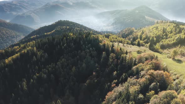 Sun Mountain Ridges with Fir Forest