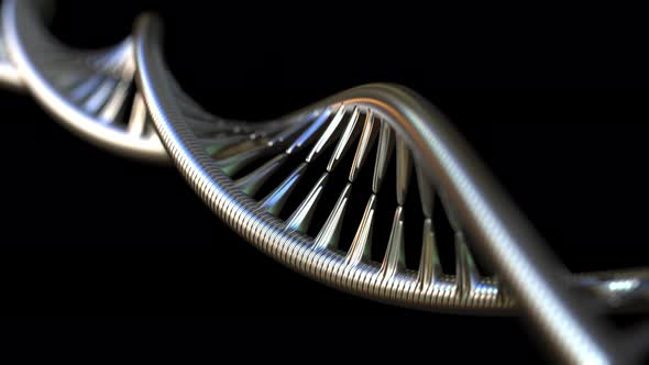 Rotating Metallic DNA Model alt