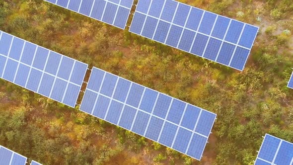 Green energy, Drone Flying over solar panels -  italy