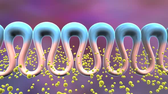 Interactions of synthetic polymers with cell membranes and model membrane system