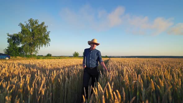 Farmer in agricultural land. 