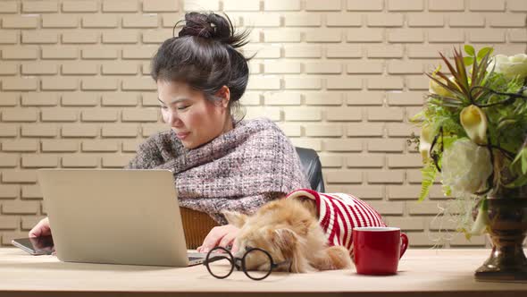 Asian female woman using laptop computer online meeting work at home while her dog sleep nearby