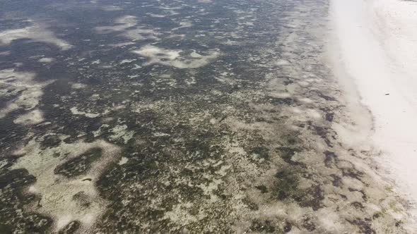 View From a Height of the Indian Ocean Near the Coast of Zanzibar Tanzania