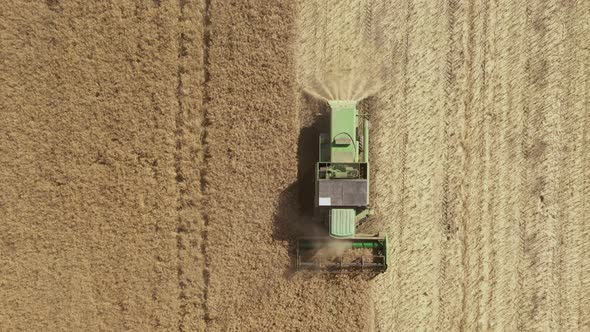 Combine harvester gathers the wheat crop. Farming concept. Top view