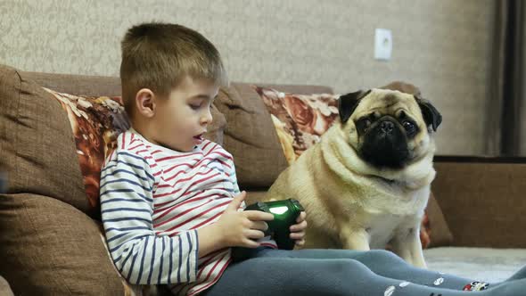 Little Boy Plays in Video Game with Joystick, Pug Dog with Child on the Couch at Home