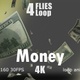 Money - VideoHive Item for Sale