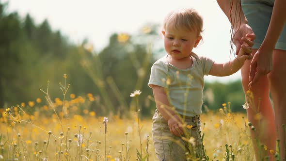 Mom with a child are sitting in a clearing or park. Parenting Maternity Joy Family Concept. alt