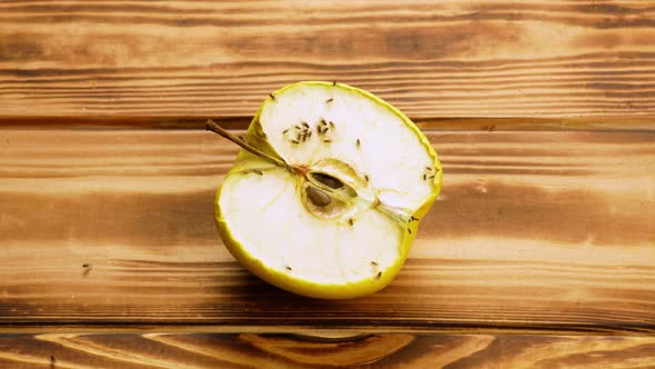 Fresh Ripe Yellow Apple Decay Process, Drying, Time Lapse Shot, Ecology Decay of Products, Spoiled