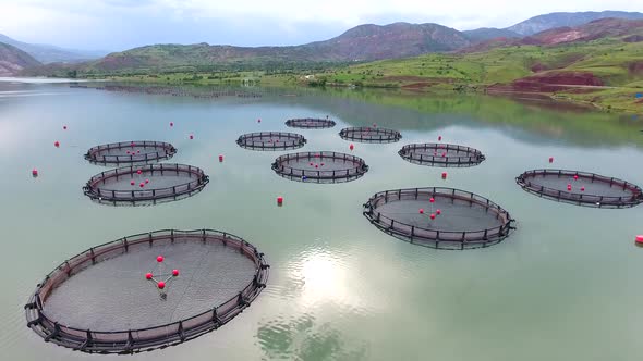 Pisciculture Fish Farming in Lake