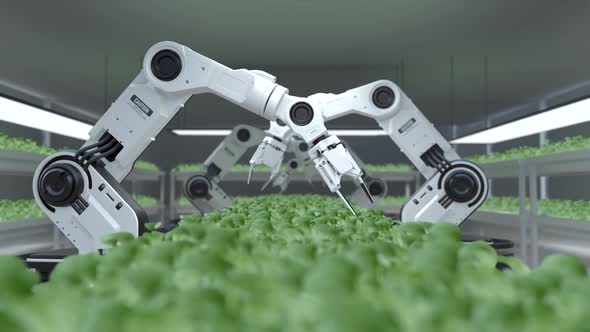 Smart robotic farmers concept