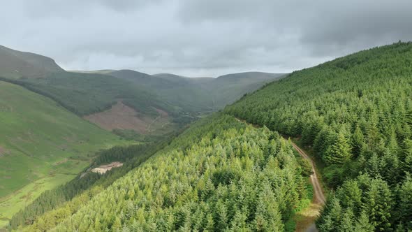 Aerial view over trees moving forward Irish mountains