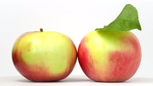 Apples rotating on white background