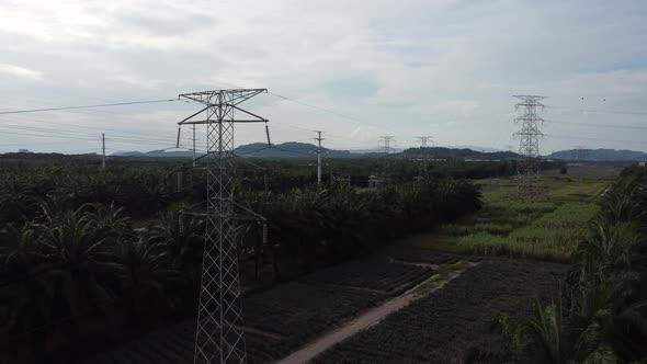 Aerial view electric tower at oil palm and pineapple farm