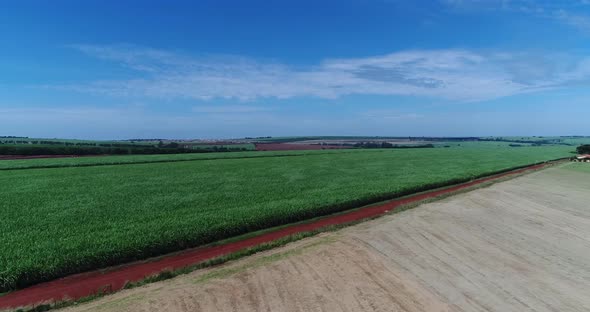 Inland sugar cane cultivation in São Paulo, Brazil. Aerials with drone in 4k.