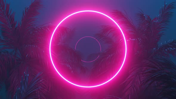 Retrowave Glowing Rectangle Frame Appears in the Tropical Palm Tree Zoom in