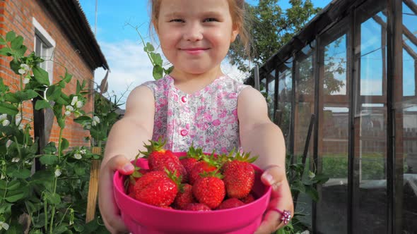 Little Cute Beautiful Girl Holds on the Outstretched Hands a Container with Strawberries