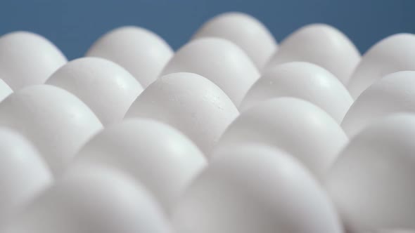 Eggs in a Cardboard Box Rotation Shot Chicken White Fresh Raw Eggs in an Egg Container