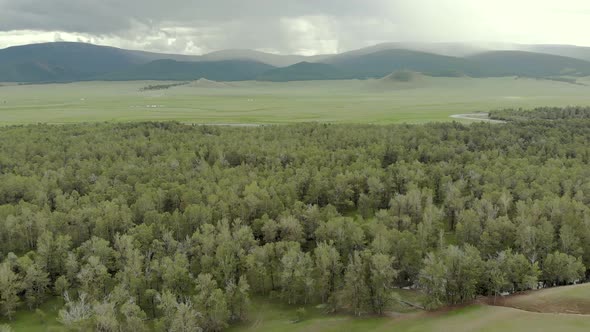 Trees, Forest and Vast Meadow in The Big River in Wide Valley of Asia Geography