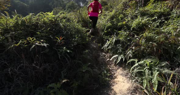 Woman trail runner running at sunrise tropical forest, slow motion