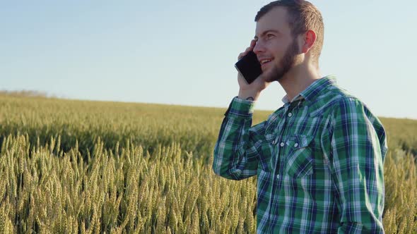 A Young Farmer Agronomist with a Beard Stands in a Field of Wheat Under a Clear Blue Sky and Talks