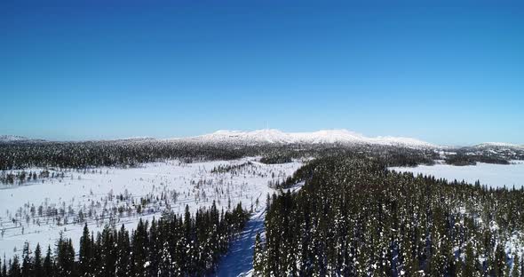 Panoramic View of the Snow Covered Forest in Winter Time From the Air
