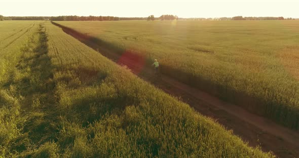 Aerial View on Young Boy, That Rides a Bicycle Thru a Wheat Grass Field on the Old Rural Road