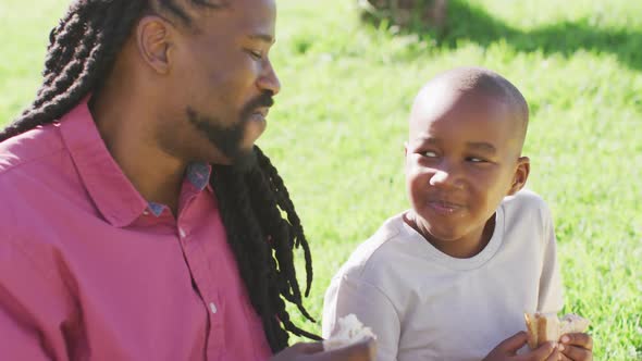Video of happy african american father and son having picnic on grass