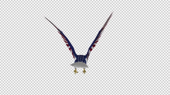 American Eagle - USA Flag - Flying Loop - Back View