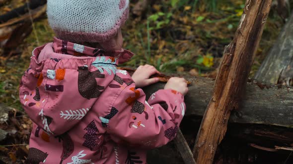 A young child plays in the woods with trees