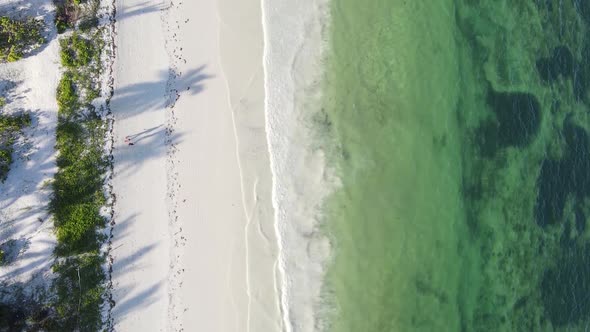 Vertical Video of the Coast of Zanzibar Island Tanzania Slow Motion