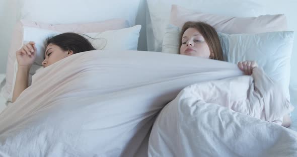 Top View of Argued Lesbian Couple Pulling Blanket in Bed. Young Caucasian Women Quarrelling in