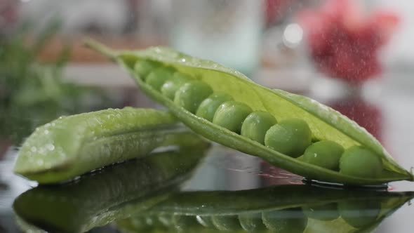 Green Pea Seeds Rolling On Table Towards Open Seed-Pod With Water Mist. - close up, slow motion
