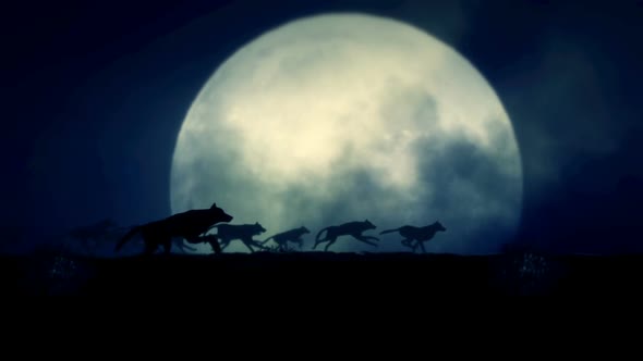 Big Pack Of Wolves Running On A Full Moon Night