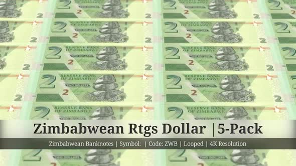 Zimbabwean Rtgs Dollar  | Zimbabwe Currency - 5 Pack | 4K Resolution | Looped