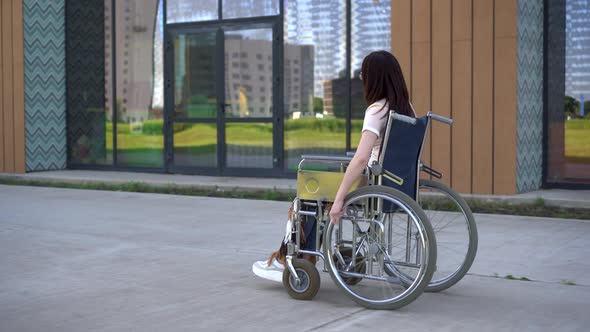 Young Woman in a Wheelchair. A Girl Rides in a Wheelchair Against the Background of a Glass Building