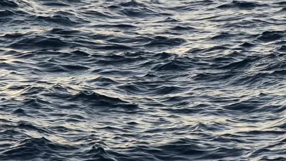 Waves on Sea Water in the Beginning of Small Storm. Diffused Sunlight Reflecting on Dark Water. Slow