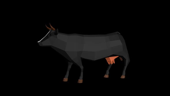 Low Poly Black Cow Walk