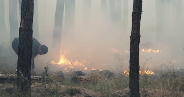 Firefighter Extinguishing Forest Fire with Sand. Strong Flames, Smoke Rise From Burning Dry Bush.