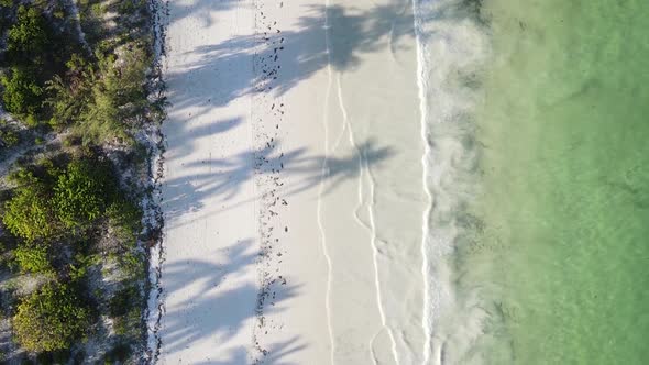 Zanzibar Tanzania  Vertical Video Empty Beach Slow Motion