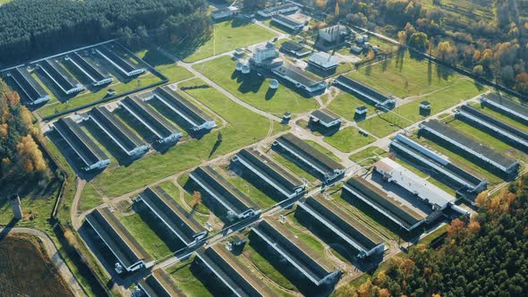 Aerial View Modern Chicken Farm Barns Sheds