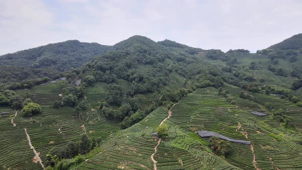 Longjing Village in Hangzhou, Asia