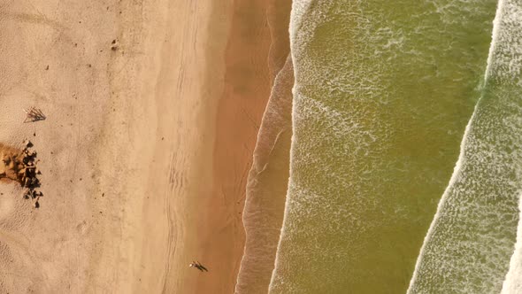 Aerial View of the Coastline Beach in San Diego in California By the Pacific