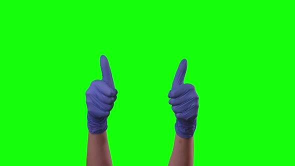 Doctors Female Hands in Blue Glove Is Holding Thumb Up Making Gestures Like