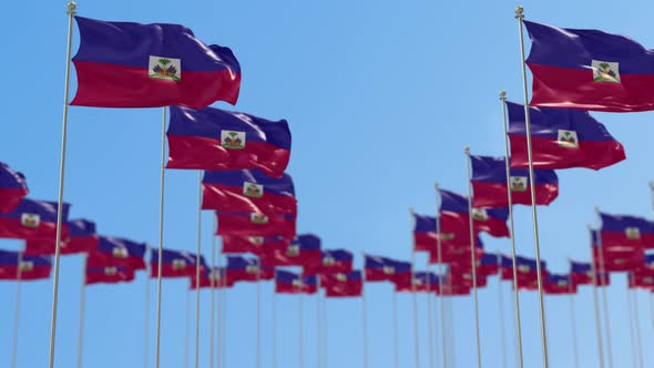 Haiti Row Of National flags Walk Throw Animation