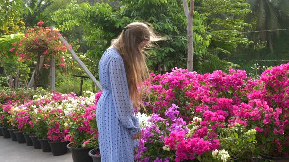 Girl in Blue Dress Choosing Pink Bougainvillea Flowers at Outside Flower Market