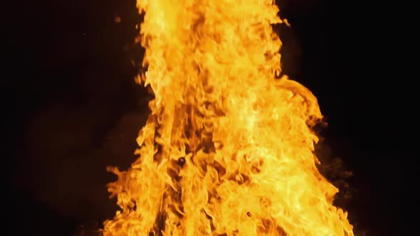 Big Bonfire Burning at Night. Fire Flame Background. Slow Motion 240 Fps