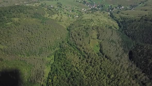 Forest Aerial View V1