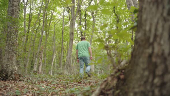 Men Walking In The Forest