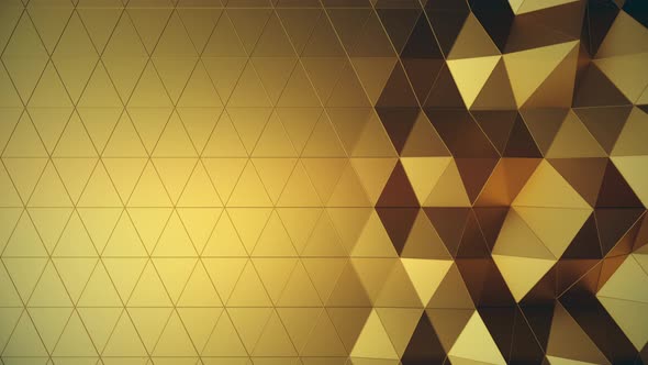 Beautiful Gold Low Poly Surface